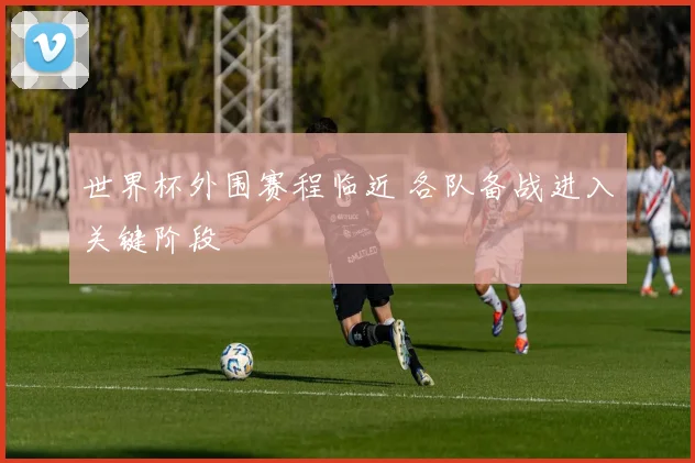 世界杯外围赛程临近 各队备战进入关键阶段